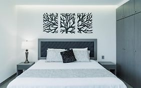 Dreams Apartments 8. Loft A 9 Minutos De La Playa